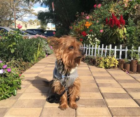 Ridgewood Garden