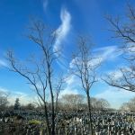 Jackie Robinson Parkway