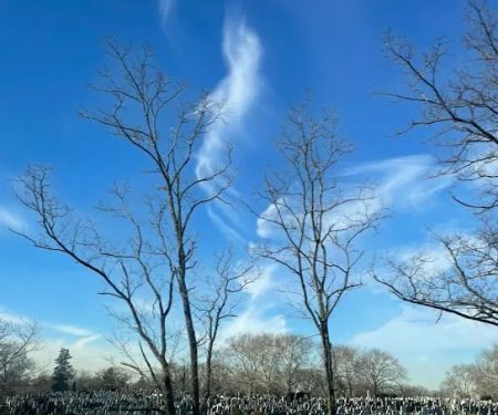 Jackie Robinson Parkway
