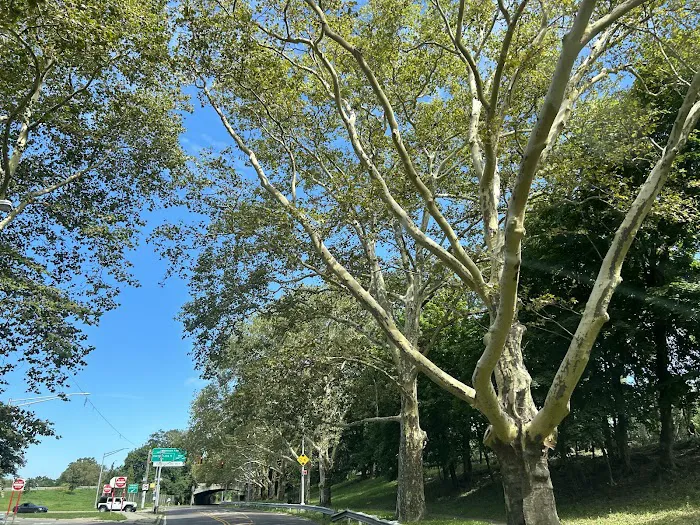 Jackie Robinson Parkway Picture 5