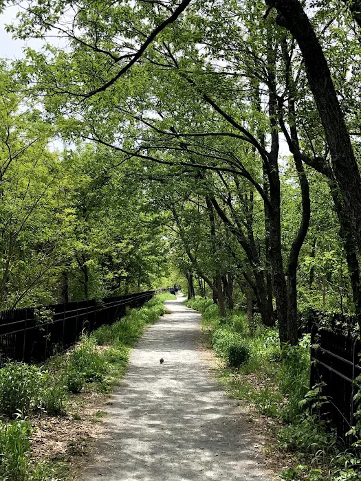 Highland Park Picture 3