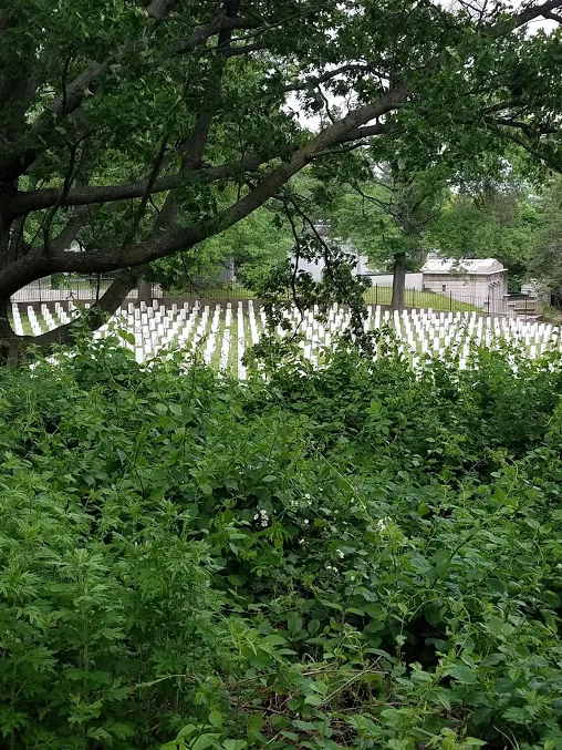 Highland Park Picture 4