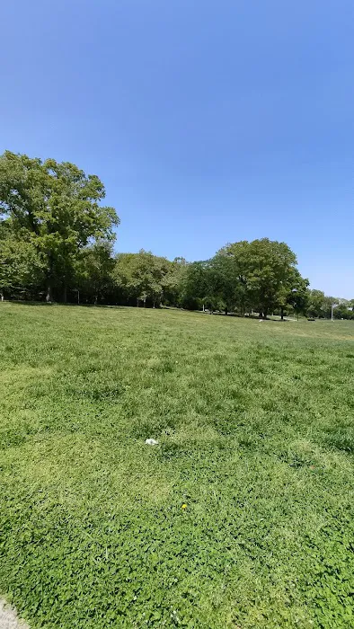 Highland Park Picture 6