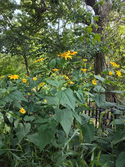 Highland Park Picture 7