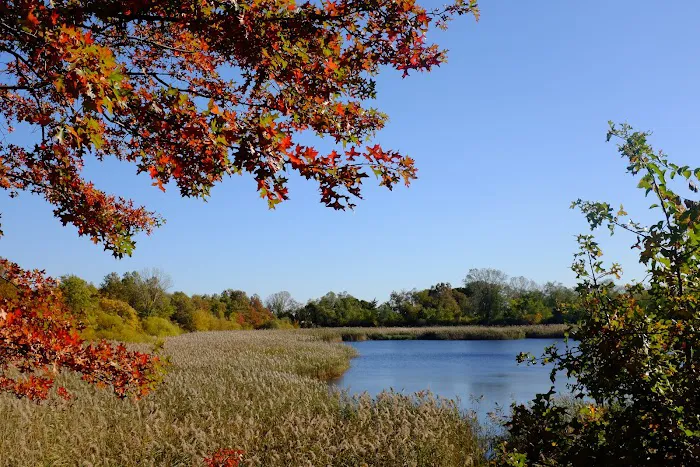 Highland Park Picture 9
