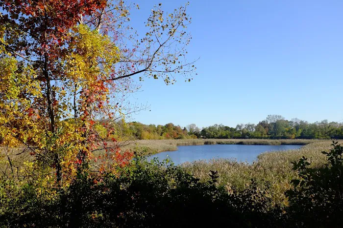 Ridgewood Reservoir Picture 1