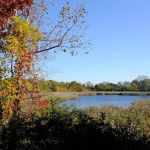Ridgewood Reservoir
