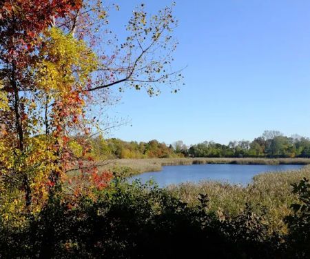 Ridgewood Reservoir