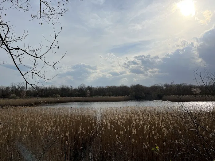 Ridgewood Reservoir Picture 4