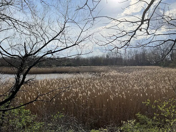 Ridgewood Reservoir Picture 6