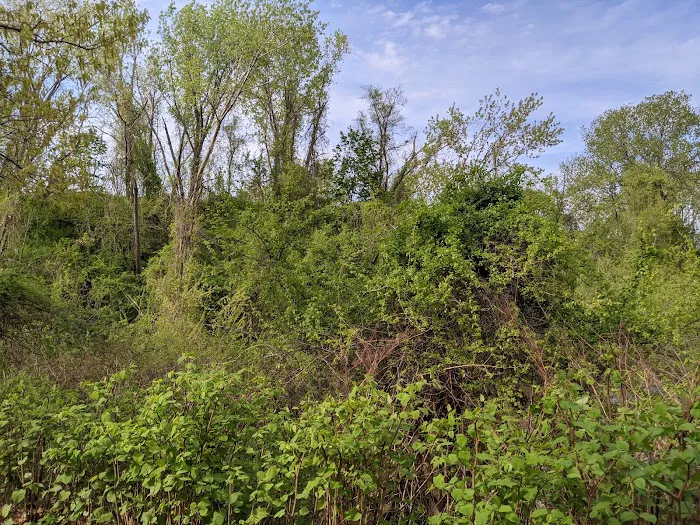 Ridgewood Reservoir Picture 3