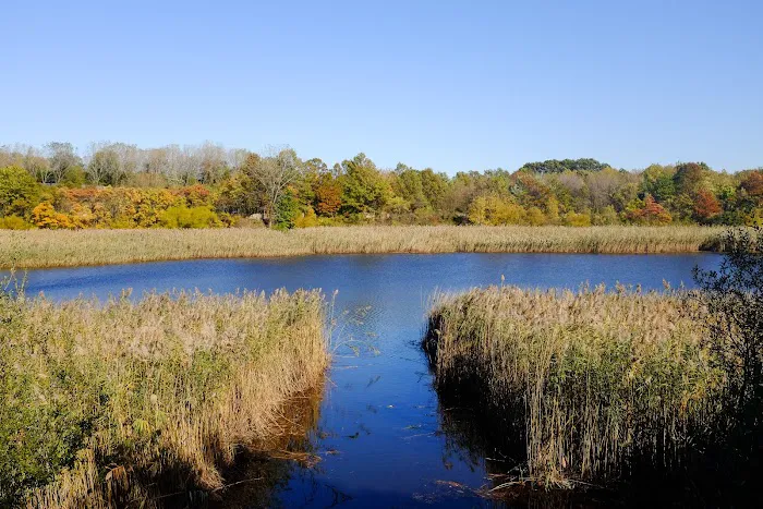 Ridgewood Reservoir Picture 8
