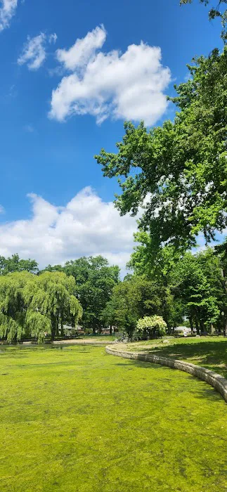 Park Picture 6