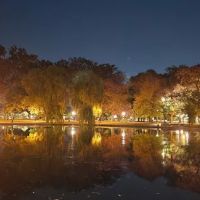 Park ico