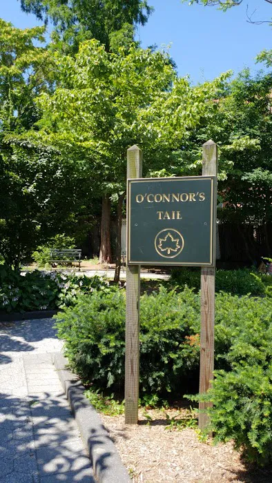 O'Connor's Tail Picture 4