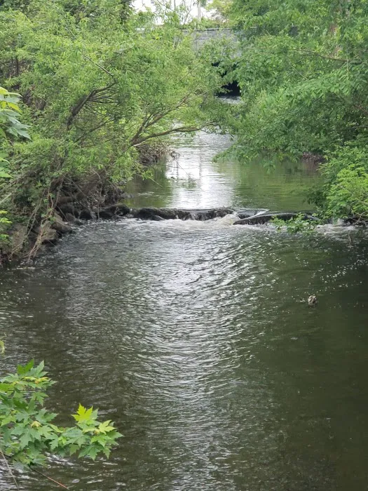 Columbus Park Picture 10