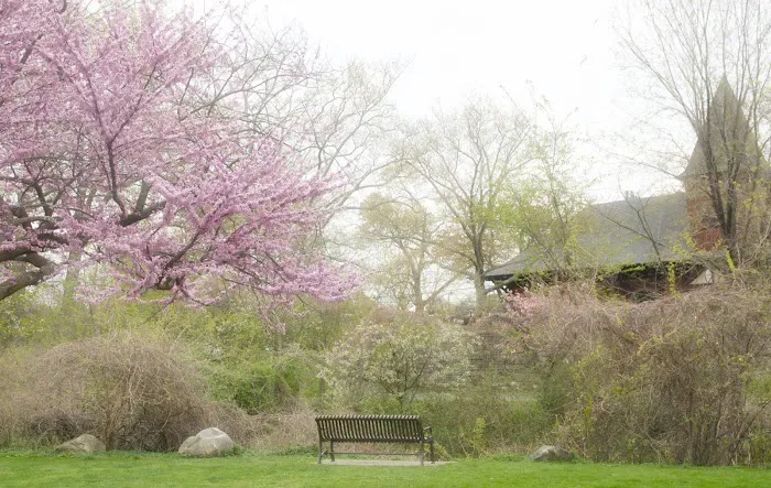 Columbus Park Picture 2