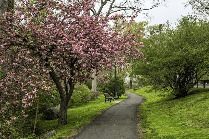 Columbus Park Picture 3