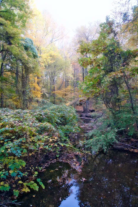 Leatherstocking Trailhead Picture 5