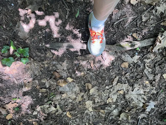 Leatherstocking Trailhead Picture 3