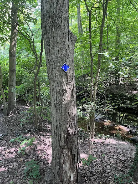 Leatherstocking Trailhead Picture 9