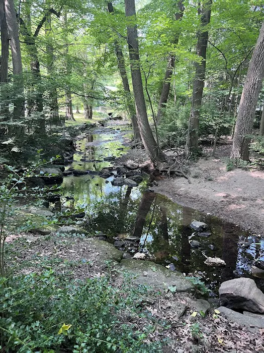 Leatherstocking Trailhead Picture 8