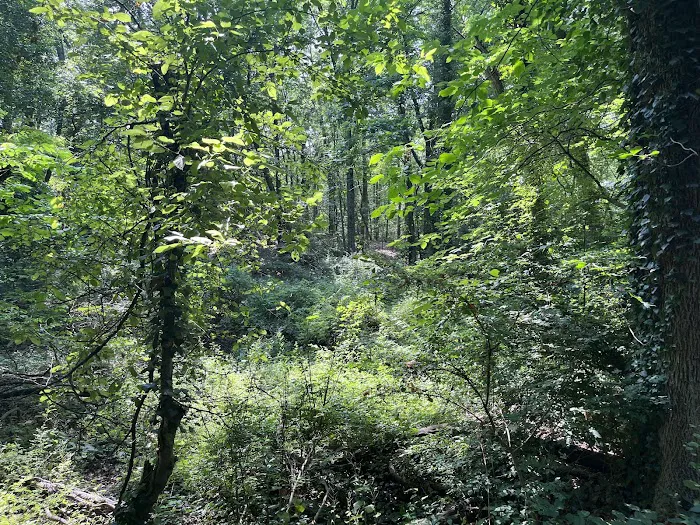 Leatherstocking Trailhead Picture 6