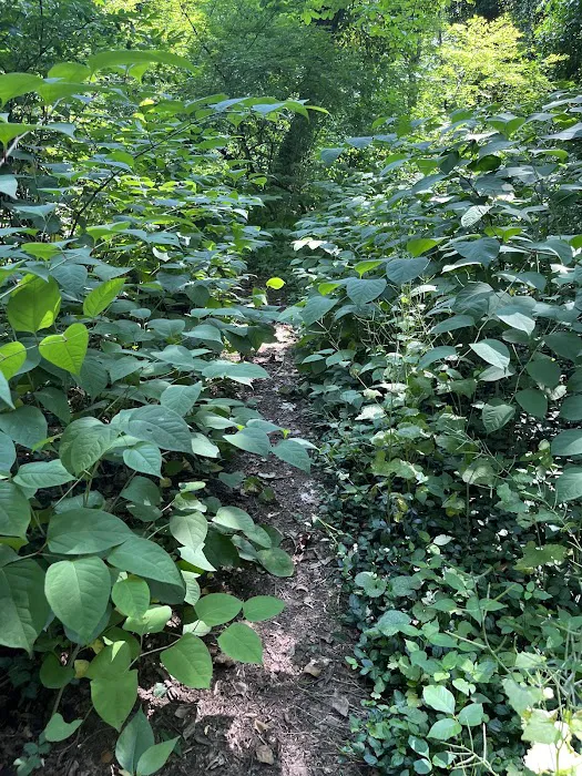 Leatherstocking Trailhead Picture 7
