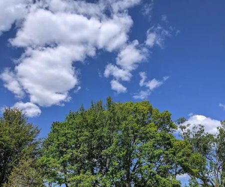 Florence Park, The Park of Mamaroneck