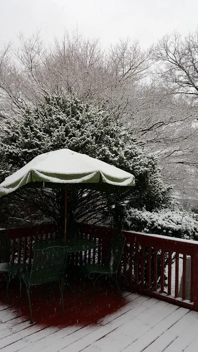 Florence Park, The Park of Mamaroneck Picture 7