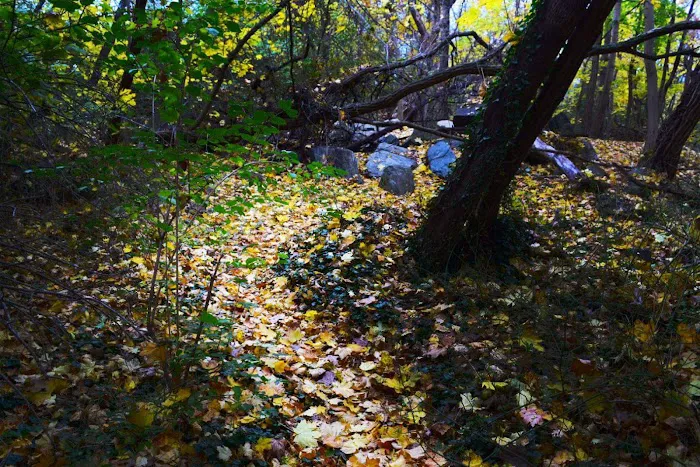 James L Fleming Park Picture 9