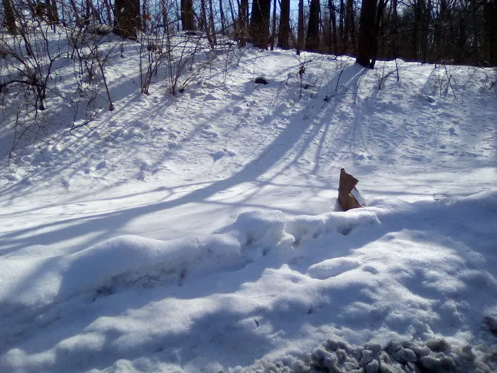 James L Fleming Park Picture 10