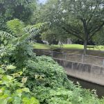 Stefanik Park