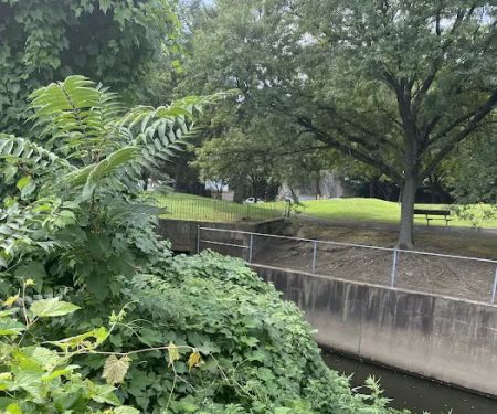 Stefanik Park