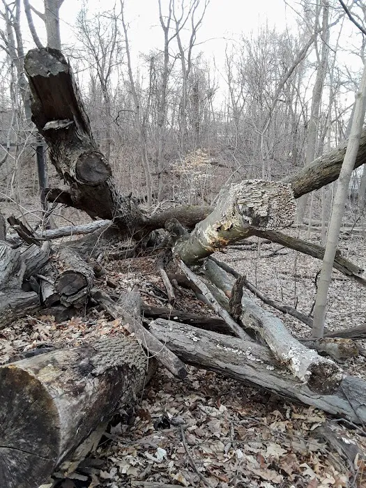 Welty Park Picture 1