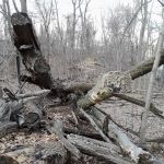 Welty Park