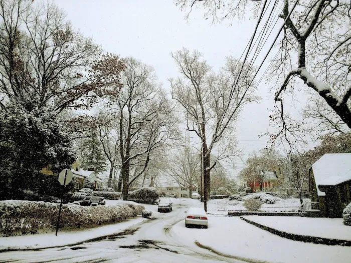 Welty Park Picture 6