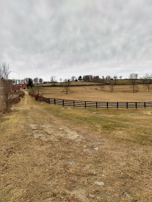 South County Trailway Picture 6