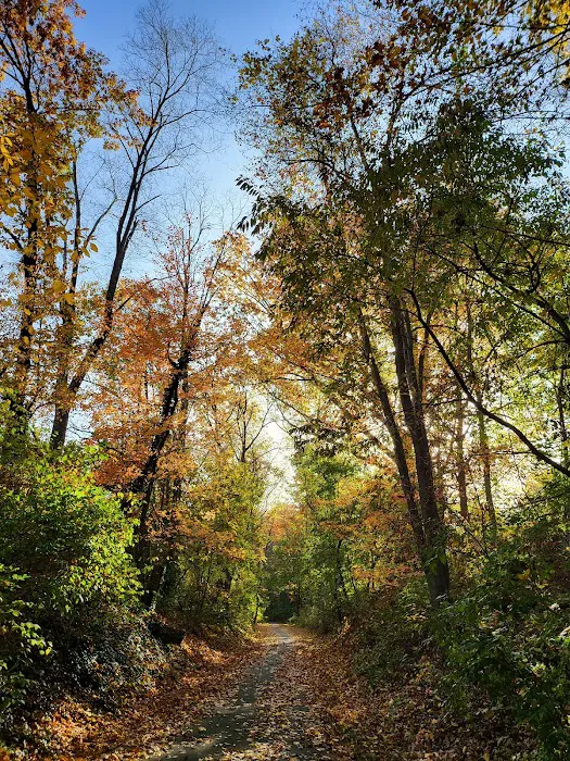 South County Trailway Picture 4