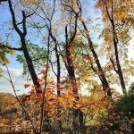 South County Trailway