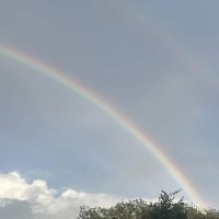 Yonkers Parks Department ico