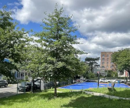 Barton Park