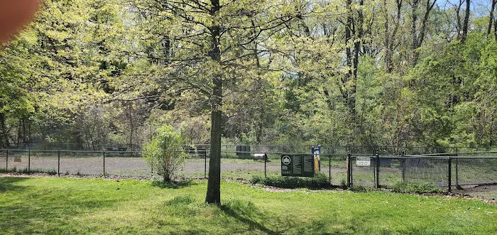 Dog park Picture 3