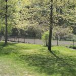 Dog park