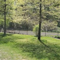 Dog park ico