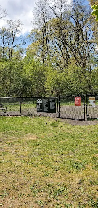 Dog park Picture 2