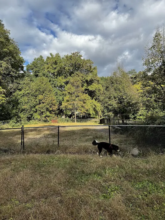 Canine Court Picture 10