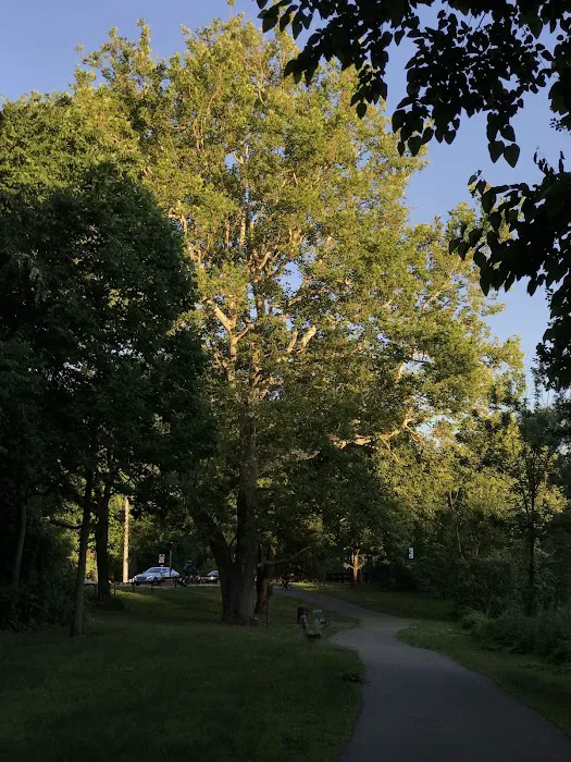 Garth Road Park Picture 10