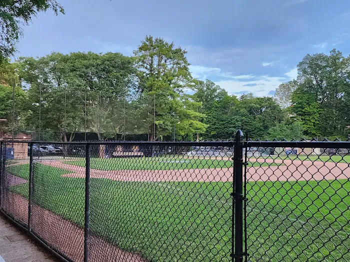 Garth Road Park Picture 2