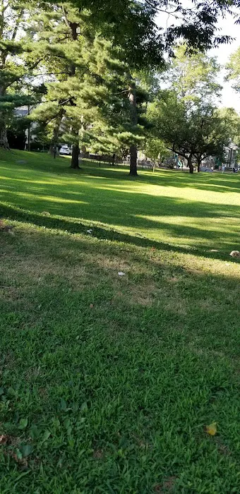 Davis Park Picture 2
